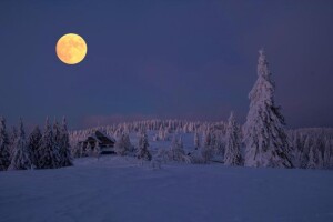 Full Snow Moon