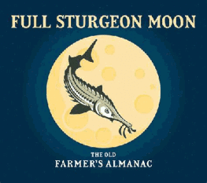Full Stergeon Moon