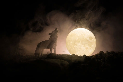 Full Wolf Moon
