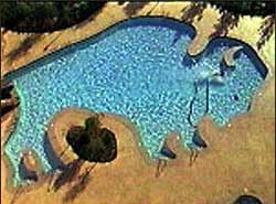 Buffalo Bill's Pool