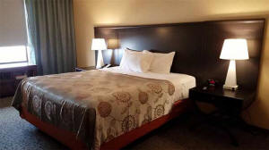 Resort Strip View King Bed Room