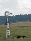 Genesee Bison Herd Windmill